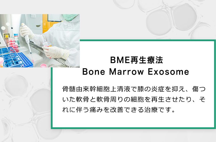 BME再生療法とは骨髄由来幹細胞上清液で膝の炎症を抑え、傷ついた軟骨と軟骨周りの細胞を再生させたり、それに伴う痛みを改善できる治療です。